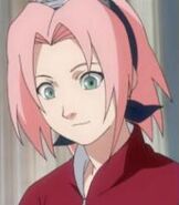 Sakura Haruno as Raye/Sailor Mars