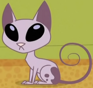 Mr. Kat as Fast Tony
