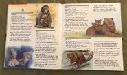 My First Book of Animals from A to Z (2)