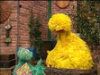 Rosita finds Big Bird asleep in his nest