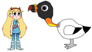 Star meets King Vulture