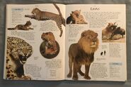 DK Encyclopedia Of Animals (105)