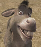 Donkey as Bullseye