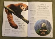 Endangered Animals (Over 100 Questions and Answers to Things You Want to Know) (5)