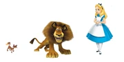 Lion size comparison