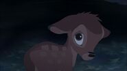 Bambi Feels Sad