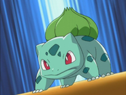 Bulbasaur as Himself