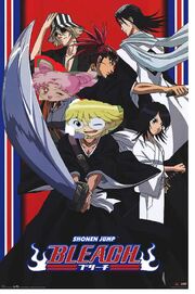Bleach paris2015.jpg