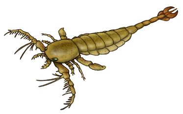 Megalograptus The Parody Wiki Fandom