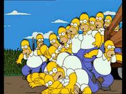 Homer clones