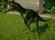 Herrerasaurus ischigualastensis