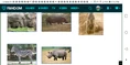 KND African Animals.png (1.1 MB)