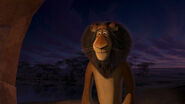 Madagascar2-disneyscreencaps.com-3898