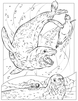 Download National Geographic Coloring Book Animals Alphabet The Parody Wiki Fandom