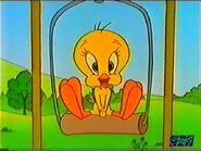 Tweety Swinging