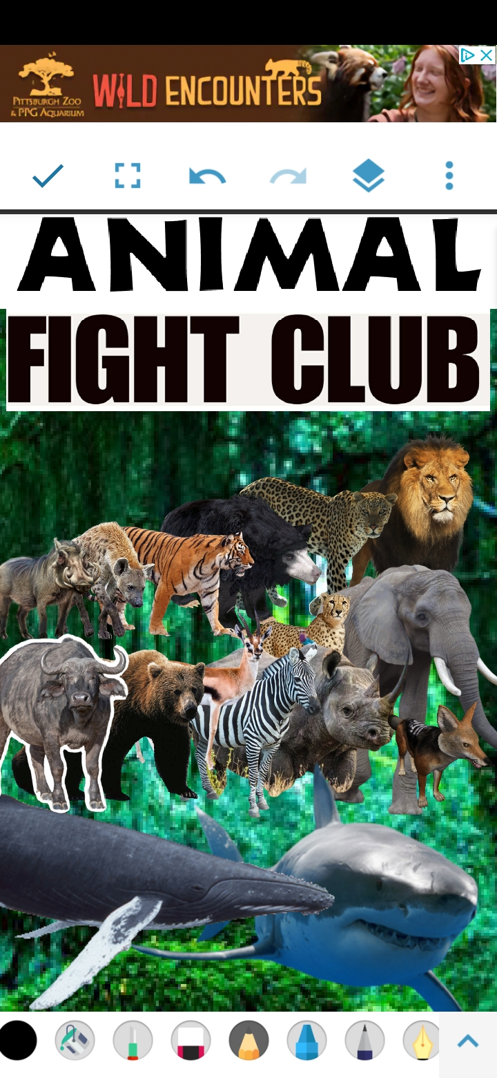 Animal Fight Club (NatureRules1 Version) | The Parody Wiki | Fandom