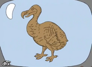 Animal Crackers Dodo