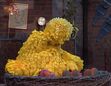 Big Bird falls asleep while demonstrating how birds fall asleep