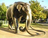 Columbian Mammoth as Indian Elephant