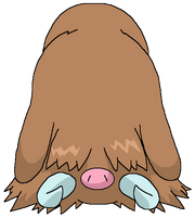 Piloswine pokemonshineandshade