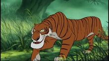 Shere Khan