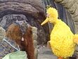 Snuffy falls asleep to feel better