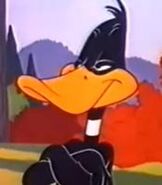 Daffy Duck in Bugs Bunny