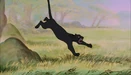 Jungle-book-disneyscreencaps.com-2456.jpg (352 KB)