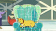 Martha Lorraine what's really valuable in the time like this... sleeping in the chair
