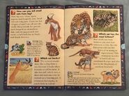 Wild Cats and Other Dangerous Predators (7)