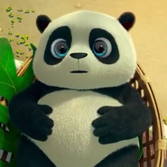 Baby Panda