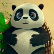 Baby Panda As Roshan