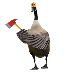 Canada goose holdings wiki sales