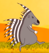 Funny-animals-2-grey-porcupine