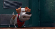 Secretlifeofpets2-animationscreencaps.com-8766