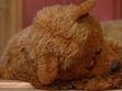 SS-DTA-1996-Baby-Bear-Sleeping