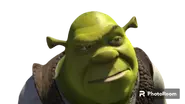 Shrek from shrek 2001 png by kylewithem dgwkg6q-pre.webp (42 KB)