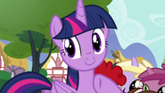 Twilight pointing to the CMC S4E15