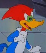 Woody Woodpecker as Tomber