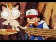 Ash bites meowth's tail