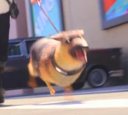 Bandicam 2024-10-08 16-31-31-995.jpg (29 KB)