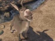 Donkey as Mr. Dragon