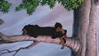 Jungle-book-disneyscreencaps.com-1269