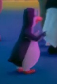 NOTN4 Penguin