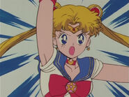 Serena/Sailor Moon,