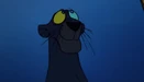 Bagheera.jpg (31 KB)