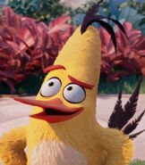 Chuck in The Angry Birds Movie