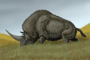 Elasmotherium sibiricum as Styracosaurus