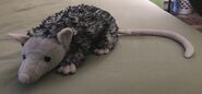 Ollie the Opossum