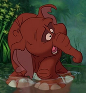 Tantor niño